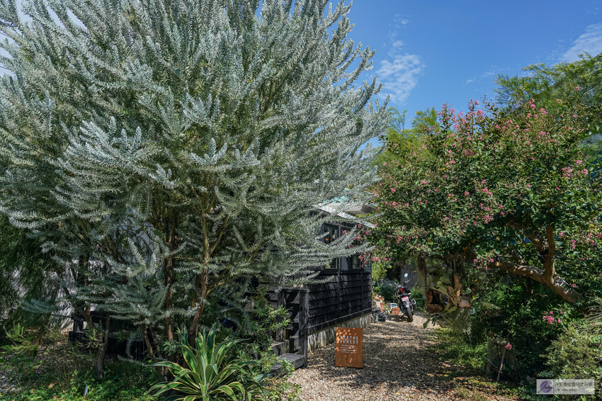 日本伊東美食,森林裡的秘密咖啡廳!三明治與咖啡,品質卓越。