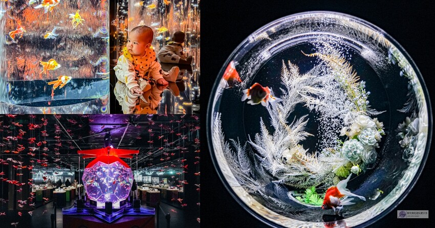 日本伊東美食,森林裡的秘密咖啡廳!三明治與咖啡,品質卓越。