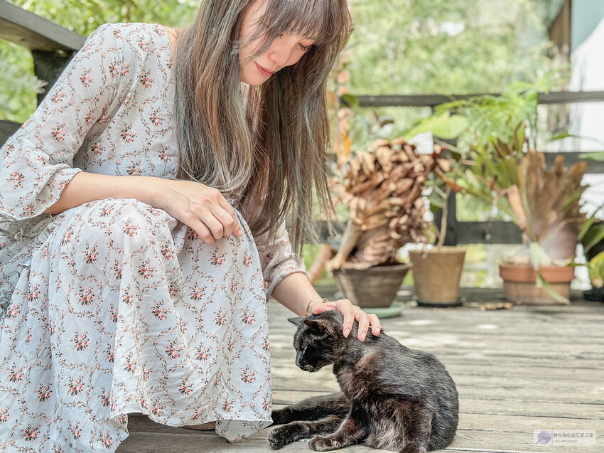 日本伊東美食,森林裡的秘密咖啡廳!三明治與咖啡,品質卓越。