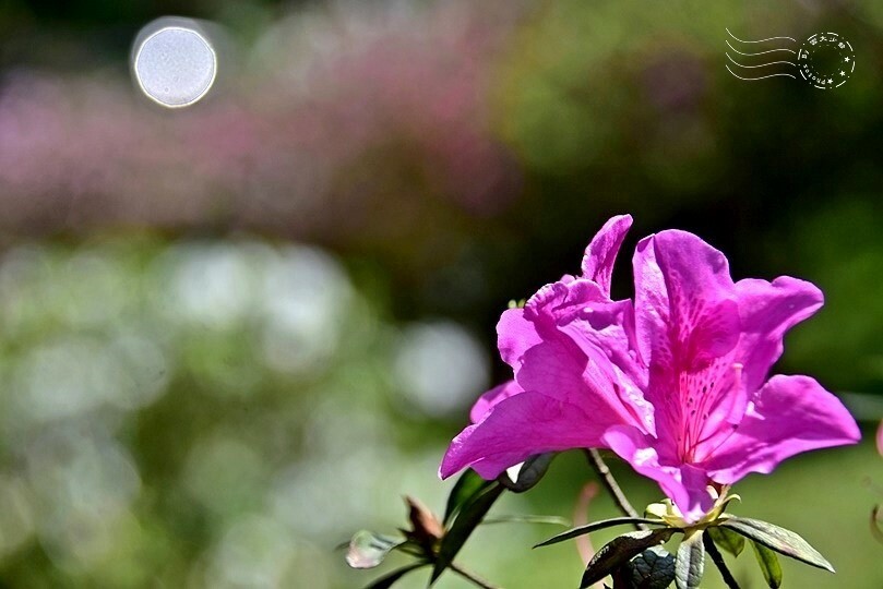 新北瑞芳：【三貂嶺】基隆河彎，聖地牙哥，仙境般的世外桃源