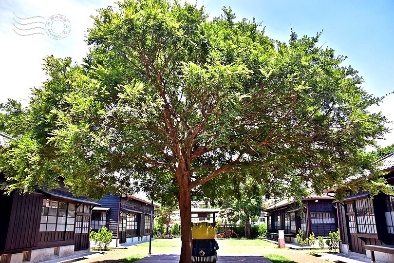 山腳國小日治後期宿舍群
