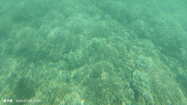 2024澎湖嘉義4日遊｜澎湖享吃飯糰｜二信飯糰創始店｜和慶半