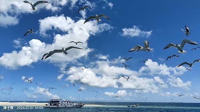 2024澎湖嘉義4日遊｜鐘記燒餅北辰店，招牌干貝蔥蛋加油條｜