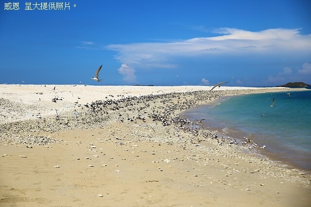 2024澎湖嘉義4日遊｜鐘記燒餅北辰店，招牌干貝蔥蛋加油條｜