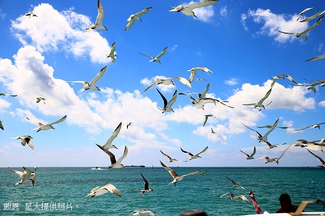 2024澎湖嘉義4日遊｜鐘記燒餅北辰店，招牌干貝蔥蛋加油條｜