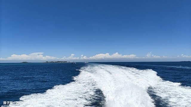 2024澎湖嘉義4日遊｜鐘記燒餅北辰店，招牌干貝蔥蛋加油條｜