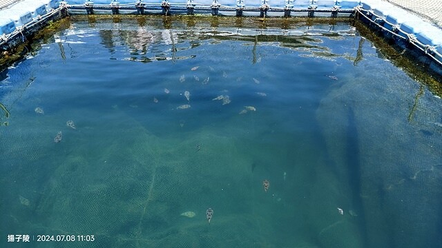 2024澎湖嘉義4日遊｜澎湖享吃飯糰｜二信飯糰創始店｜和慶半