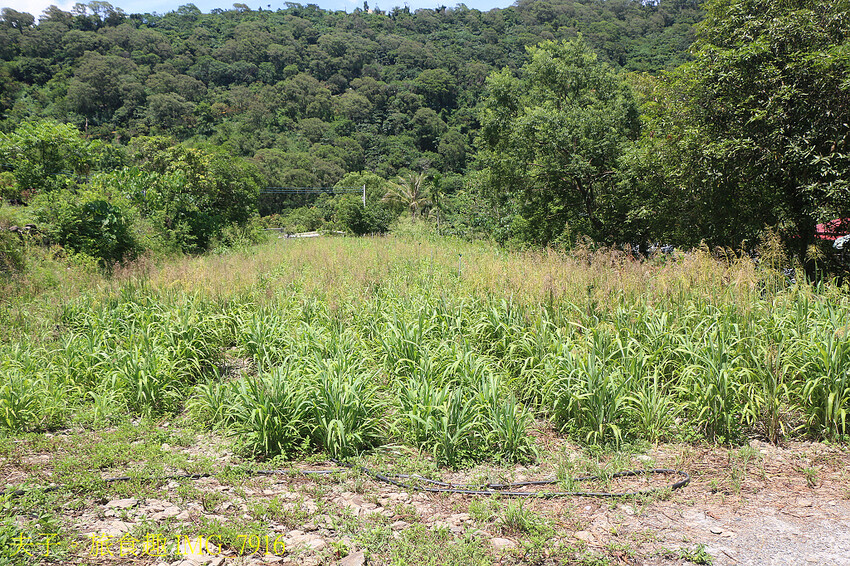 五大亮點 看見不一樣的萬山部落