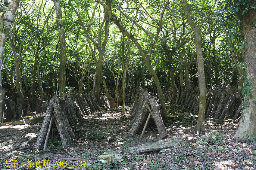 南澳鄉段木香菇巴萊體驗館 嶄新的地方產業多功能平台