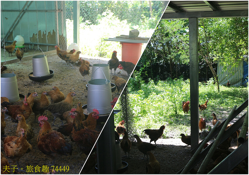 南澳鄉段木香菇巴萊體驗館 嶄新的地方產業多功能平台