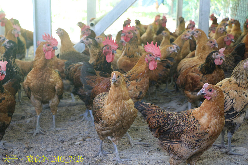 南澳鄉段木香菇巴萊體驗館 嶄新的地方產業多功能平台