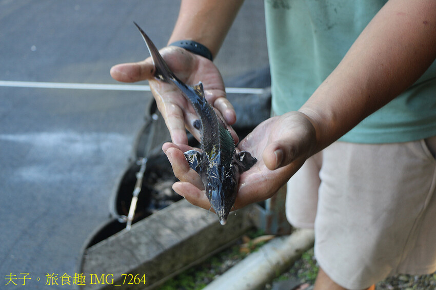南澳鄉段木香菇巴萊體驗館 嶄新的地方產業多功能平台