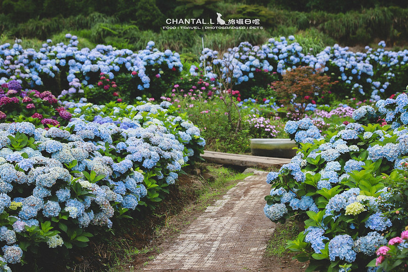 1J6A3937-2 拷貝 1J6A3937-2 拷貝