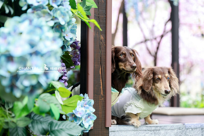 1J6A0662拷貝-2 拷貝