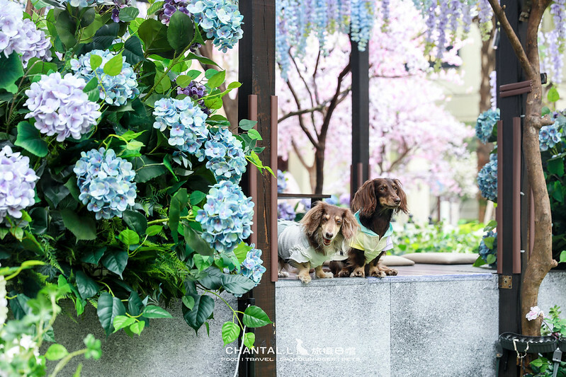 1J6A0648拷貝-2 拷貝