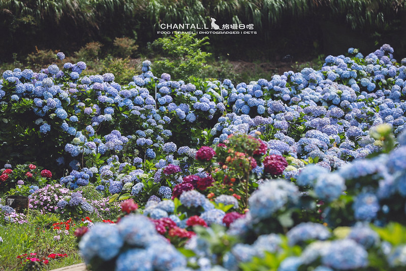 1J6A3980-2 拷貝 3 1J6A3980-2 拷貝 3