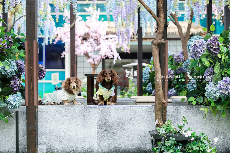 1J6A0642拷貝-2 拷貝