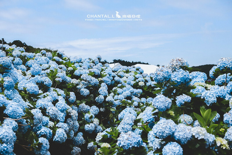 1J6A4061-2拷貝-2 拷貝 1J6A4061-2拷貝-2 拷貝