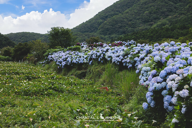 1J6A3943-2 拷貝 1J6A3943-2 拷貝