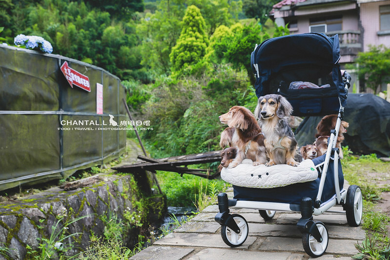 1J6A3952-2 拷貝 1J6A3952-2 拷貝