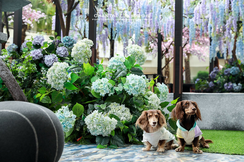 1J6A0585拷貝-2 拷貝 2