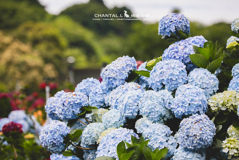 1J6A4068-2 拷貝 1J6A4068-2 拷貝