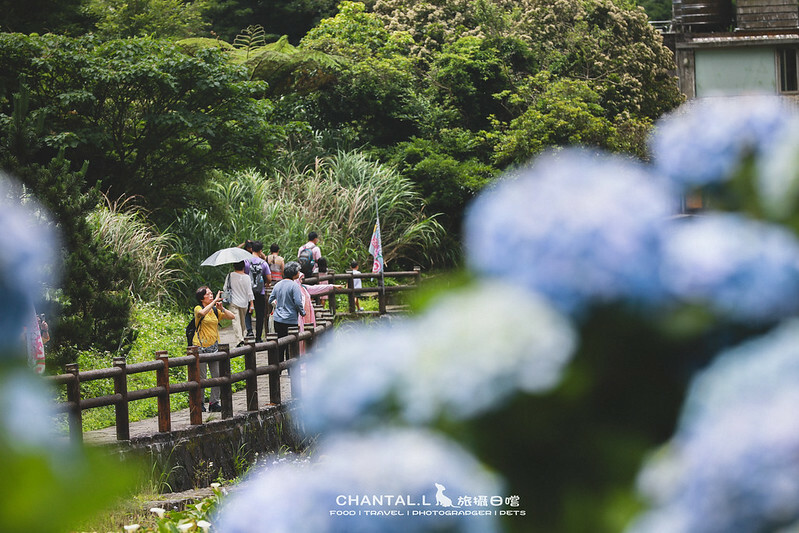 1J6A4124-2 拷貝 1J6A4124-2 拷貝