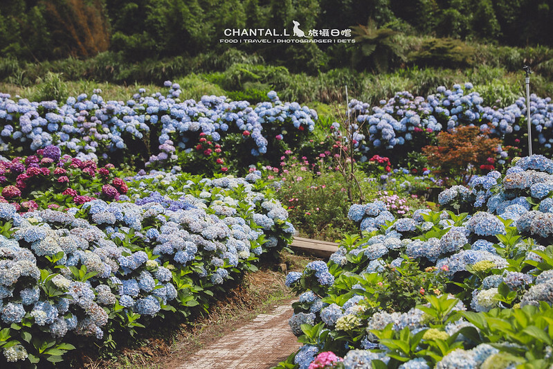 1J6A3975-2 拷貝 1J6A3975-2 拷貝