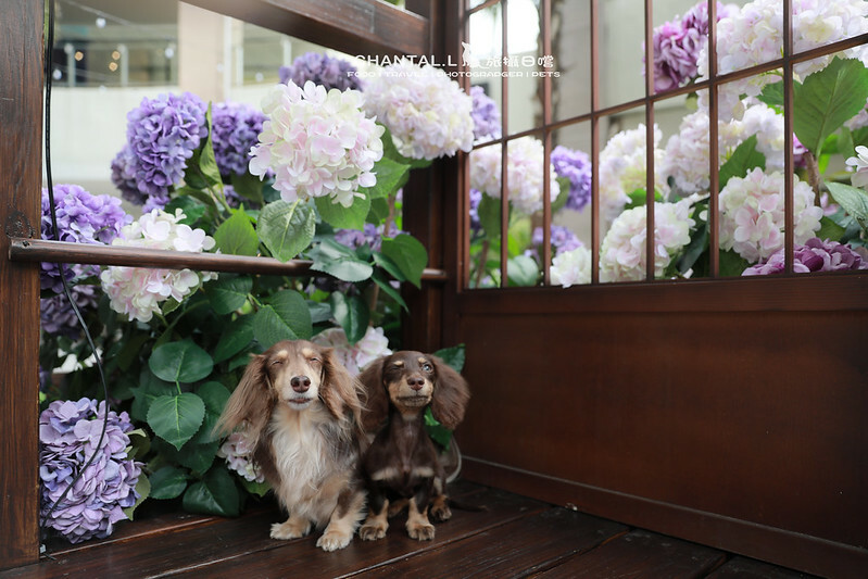 1J6A2397拷貝-2 拷貝