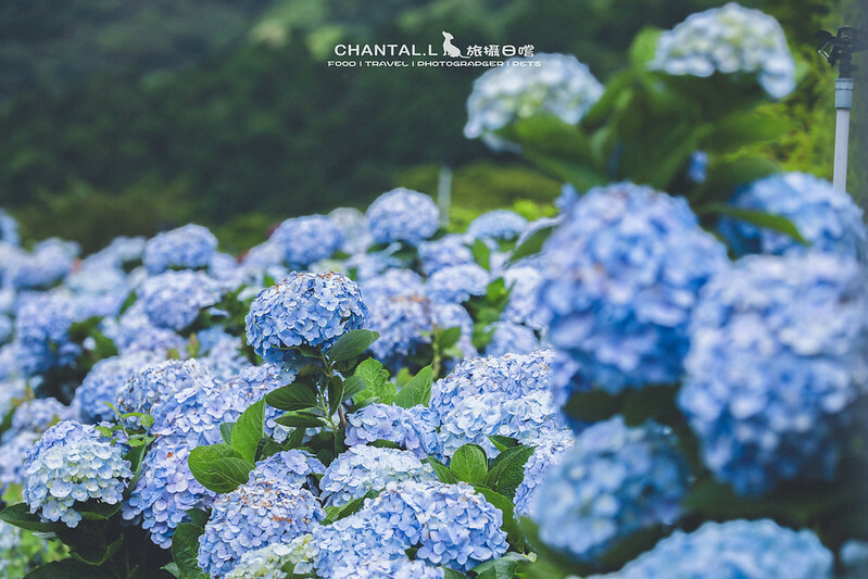 1J6A4139-2拷貝-2 拷貝 1J6A4139-2拷貝-2 拷貝