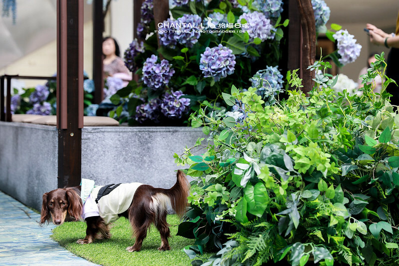 1J6A0696拷貝-2 拷貝