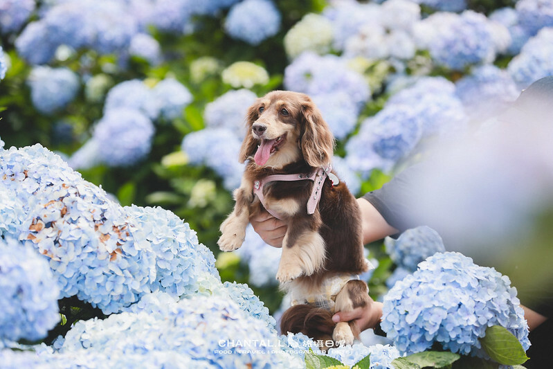 1J6A4024-2 拷貝 1J6A4024-2 拷貝