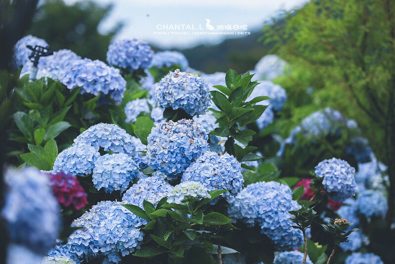 1J6A4125-2拷貝-3 拷貝 1J6A4125-2拷貝-3 拷貝