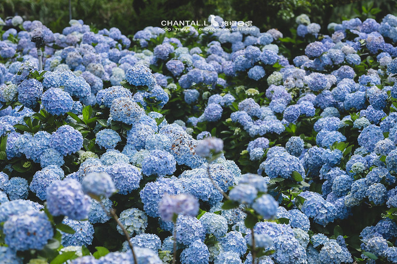 1J6A3986-2 拷貝 2 1J6A3986-2 拷貝 2