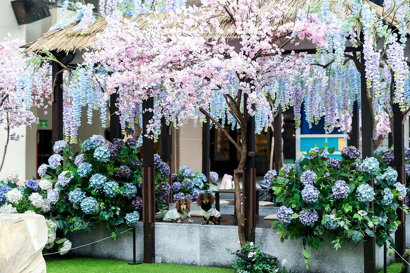 1J6A0637拷貝-2 拷貝