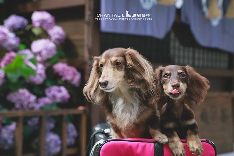 1J6A2354拷貝-2 拷貝