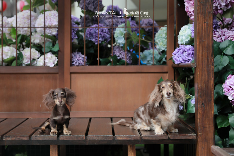 1J6A2424拷貝-2 拷貝