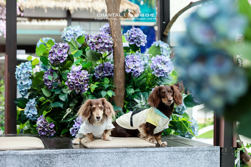 1J6A0623拷貝-2 拷貝