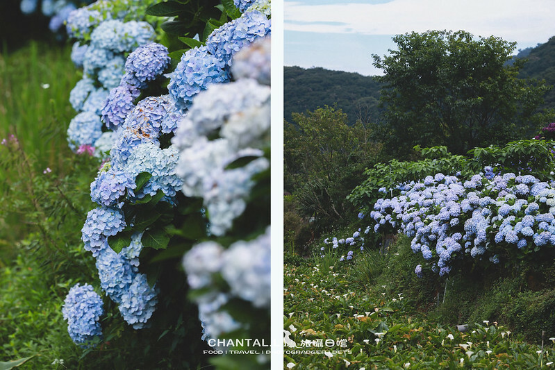 1J6A4140-2 拷貝 2 1J6A4140-2 拷貝 2