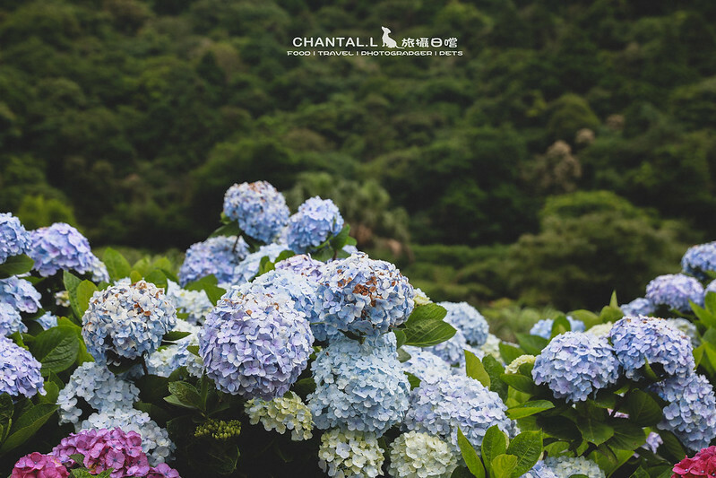 1J6A3939-2 拷貝 1J6A3939-2 拷貝