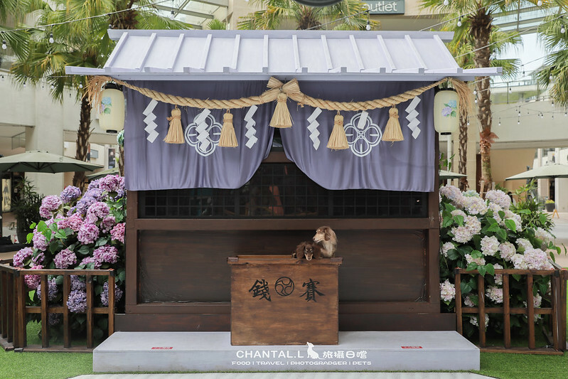 1J6A2514拷貝-2 拷貝