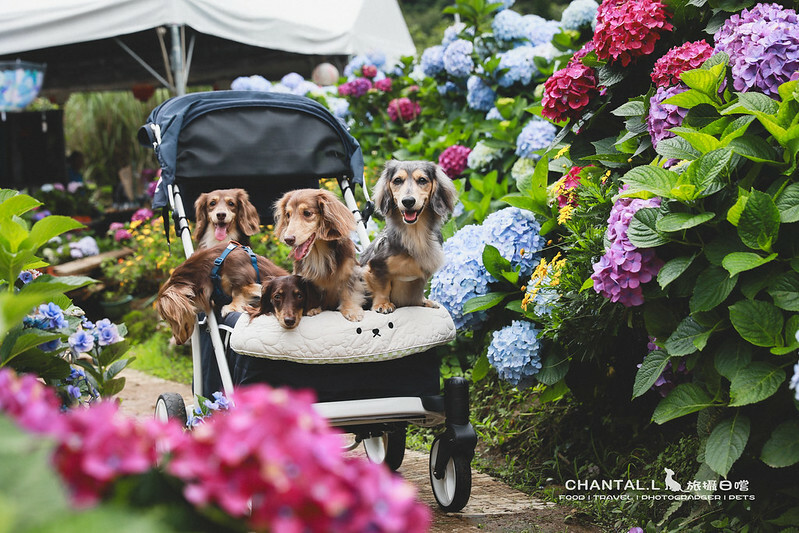 1J6A3958-2 拷貝 1J6A3958-2 拷貝