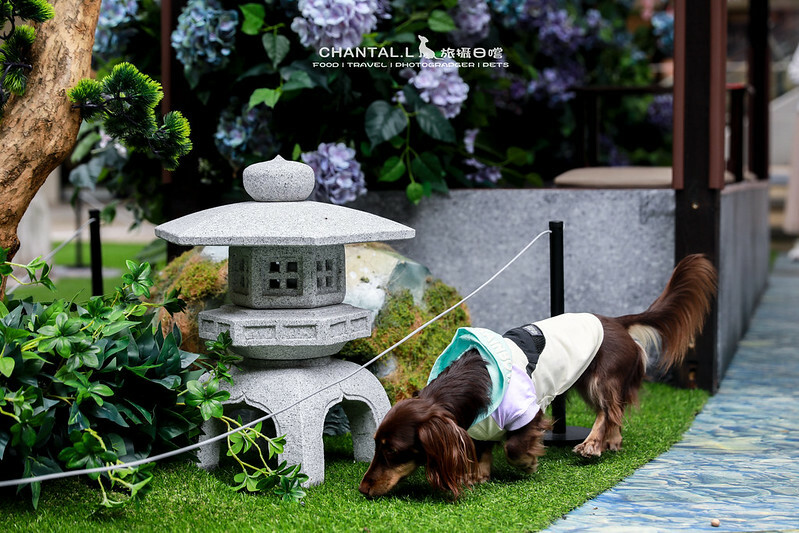 1J6A0699拷貝-2 拷貝