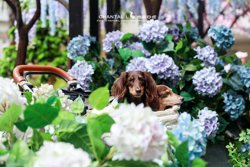 1J6A0725拷貝-2 拷貝