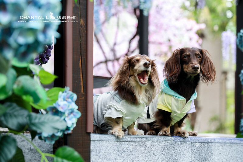 1J6A0653拷貝-2 拷貝