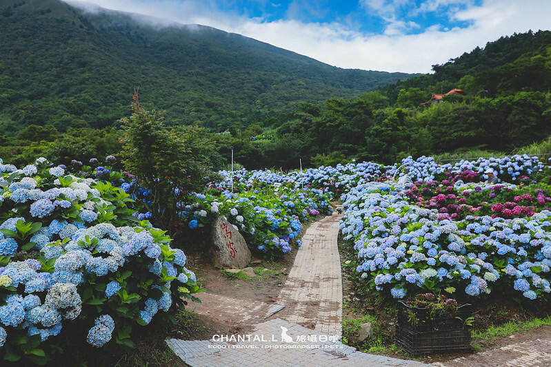 1J6A3935-2 拷貝 1J6A3935-2 拷貝