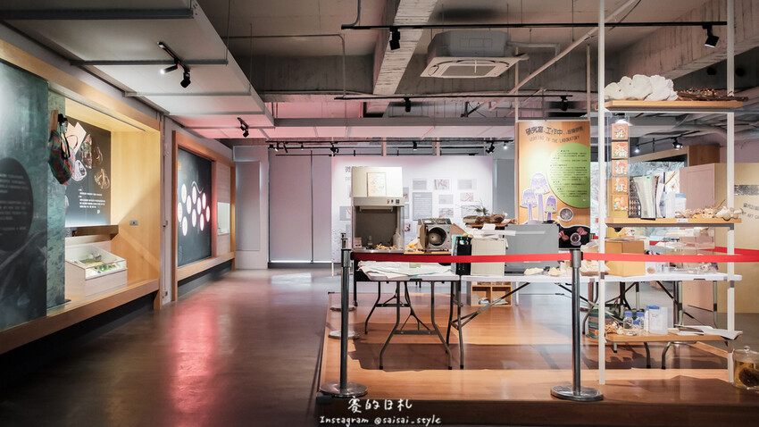 台中市霧峰區霧峰菇類產學館｜台中霧峰一日遊｜霧峰除了林家花園、光復新村外，一定也要來這間「台灣首座菇類博物館」！