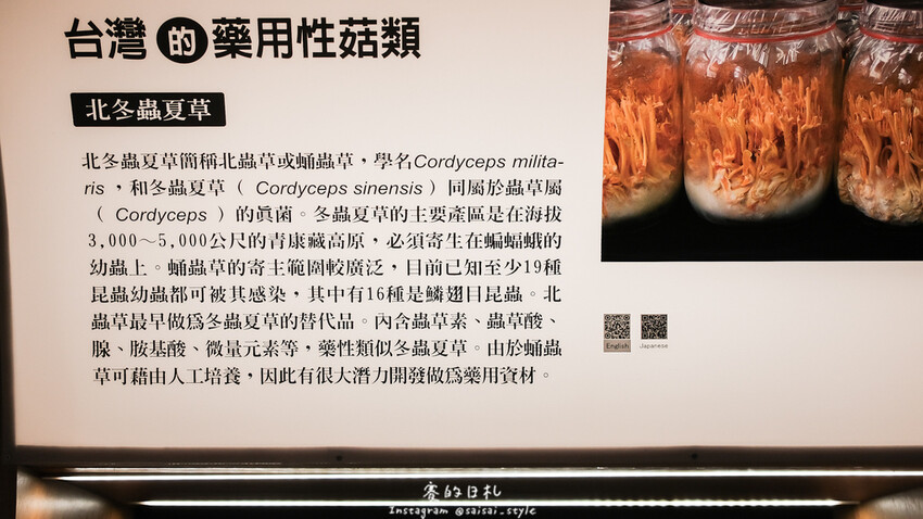 台中市霧峰區霧峰菇類產學館｜台中霧峰一日遊｜霧峰除了林家花園、光復新村外，一定也要來這間「台灣首座菇類博物館」！