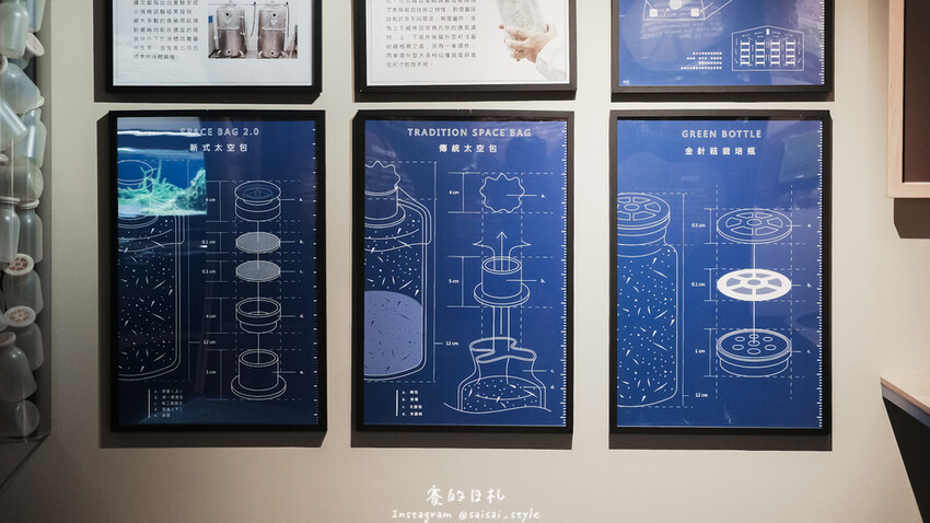 台中市霧峰區霧峰菇類產學館｜台中霧峰一日遊｜霧峰除了林家花園、光復新村外，一定也要來這間「台灣首座菇類博物館」！