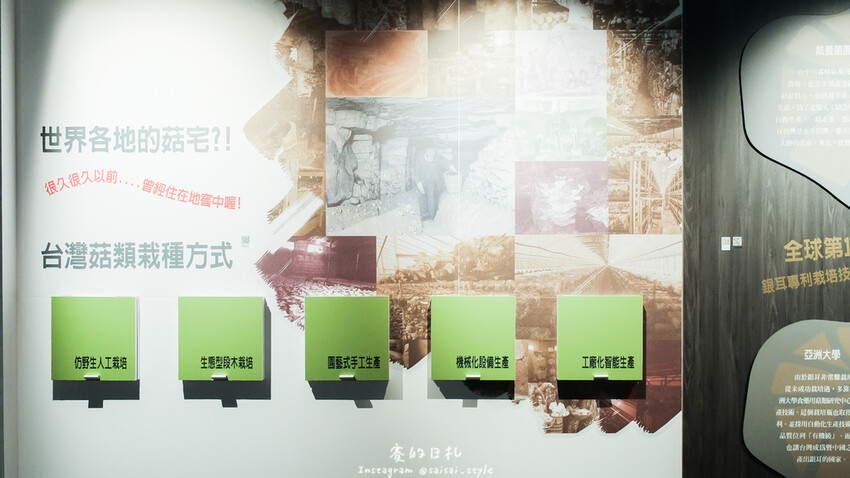 台中市霧峰區霧峰菇類產學館｜台中霧峰一日遊｜霧峰除了林家花園、光復新村外，一定也要來這間「台灣首座菇類博物館」！